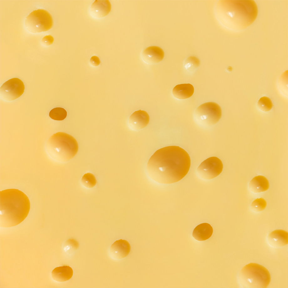 AI基础教程，教你绘制可爱的奶酪图案1.jpg