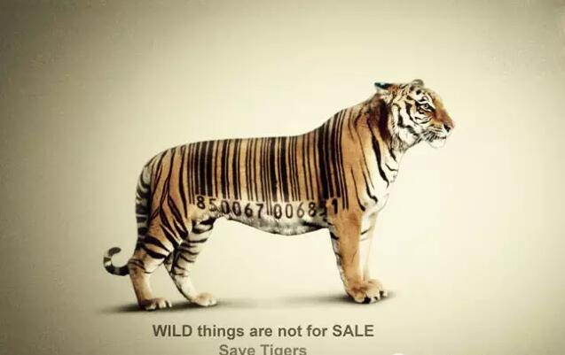 保护动物宣传公益海报欣赏1.jpg