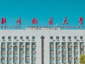 北京林业大学2021年接收优秀应届本科毕业生推荐免试攻读研究生实施办法